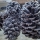 Frosted Pinecone Ornaments